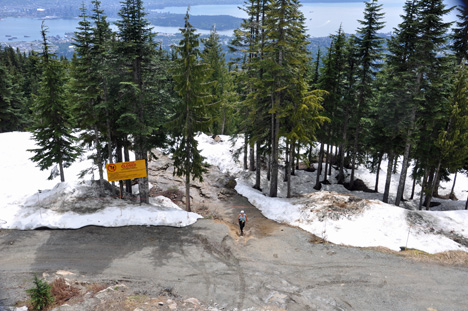 the hiking trail and a hiker