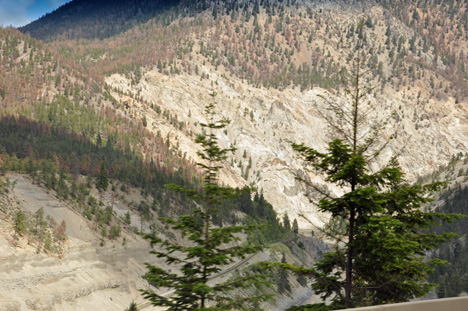 mountains and trees