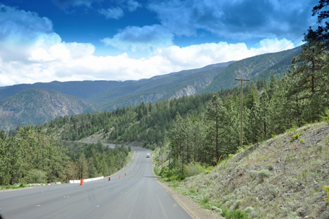 trees, mountains, road