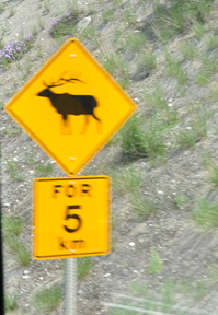 elk crossing sign