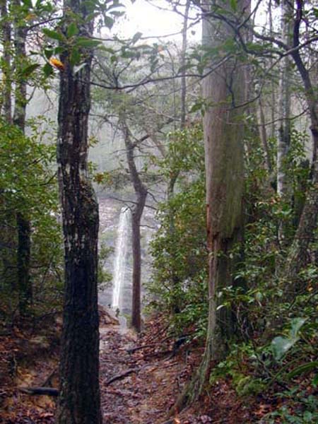 Fall Creek Falls