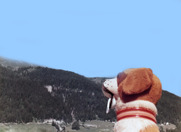 St. Bernard and the mountains