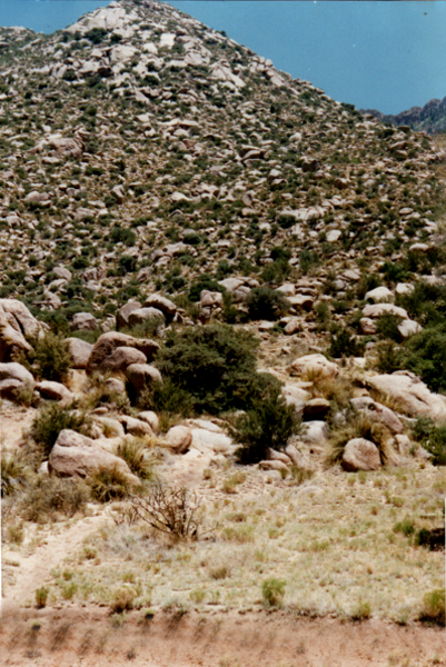 view from Sandia Peak Aerial Tramway