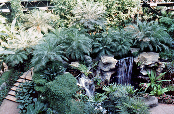 Opryland Hotel Atrium