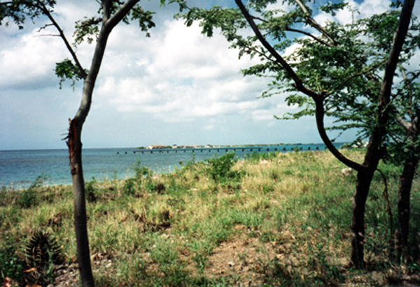 scenery near the Marina Pirata Restaurant