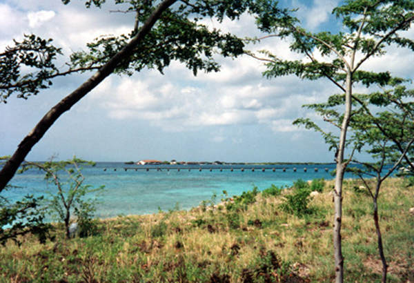 scenery near the Marina Pirata Restaurant