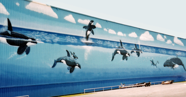 A building in the marina with painted dolphins