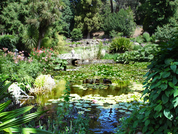 Botanical Garden in Australia 