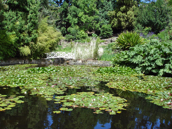 Botanical Garden in Australia 
