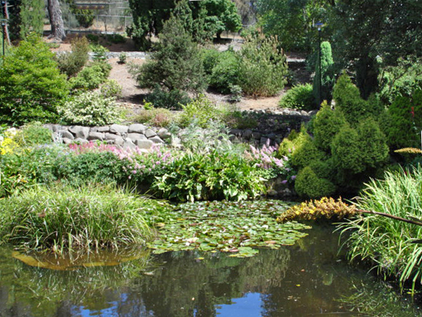 Botanical Garden in Australia 