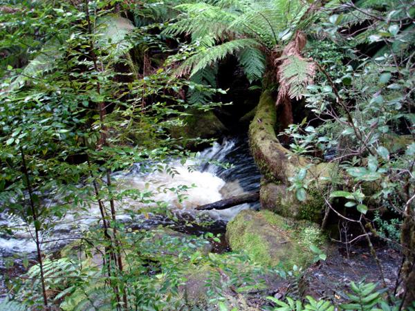 richmond australia river