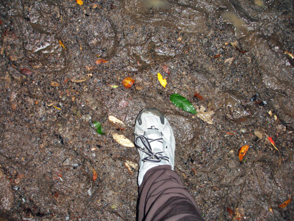 Karen Duquette stepping in the mud