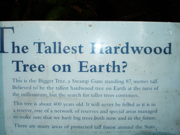 Tallest Hardwood tree on Earth sign