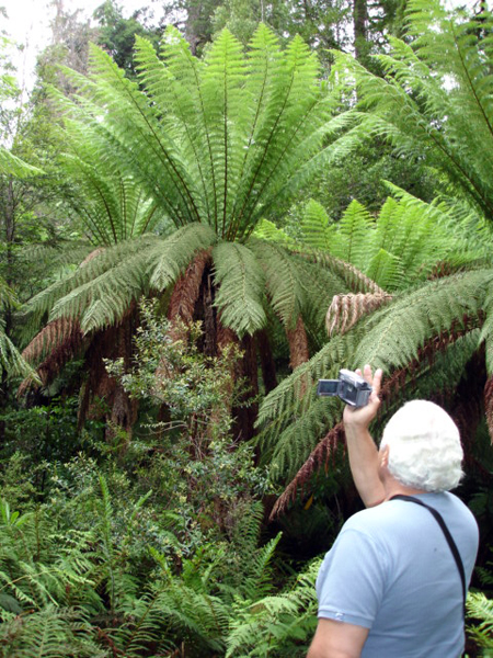 Lee Duquette tkaing photos