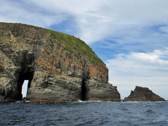 Bruny Island cliffs