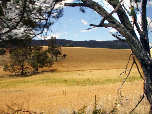 Tasmania scenery