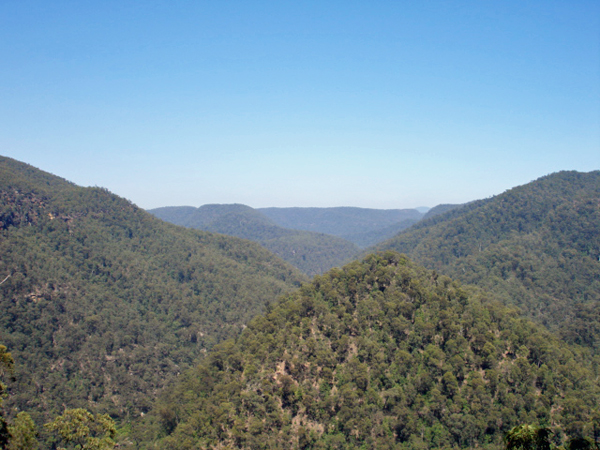 Blue Mountains National Park