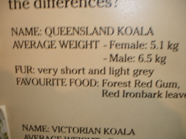 sign about Queensland Koala