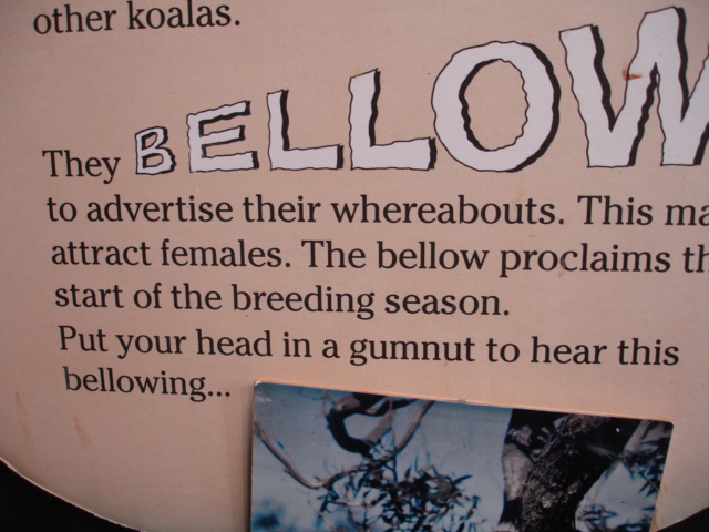 sign about Koalas