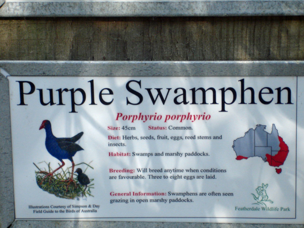 Purple Swamphen sign