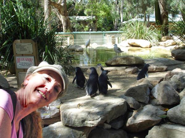 Karen Duquette and The Fairy Penguins