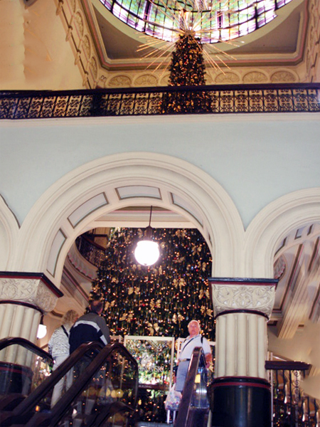 Lee Duquette in the Sydney Mal