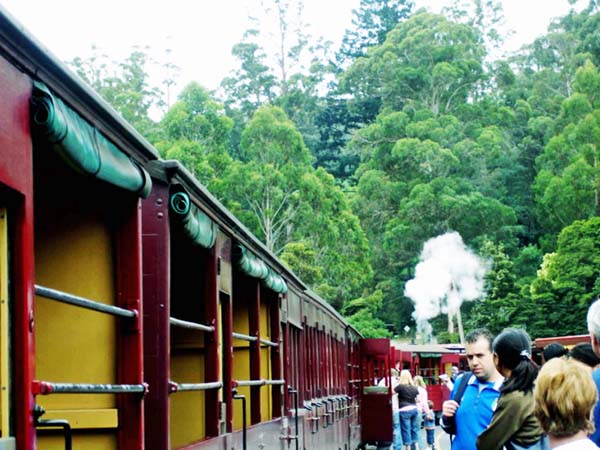 Puffing Billy Train