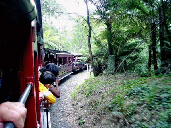 Puffing Billy Train