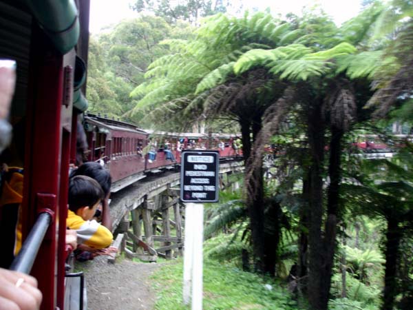 Puffing Billy Train