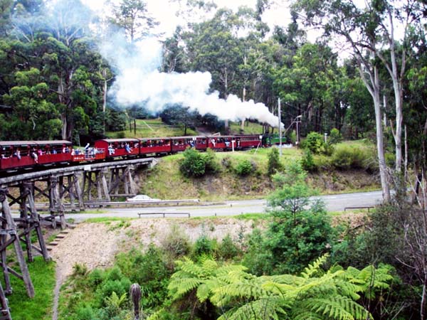 Puffing Billy Train