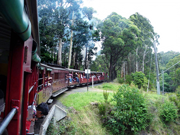Puffing Billy Train