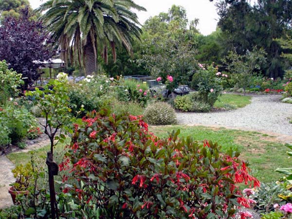 Warrook Angus Farm flowers