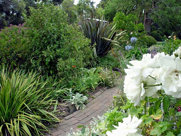 flowers ar Warrook Farm