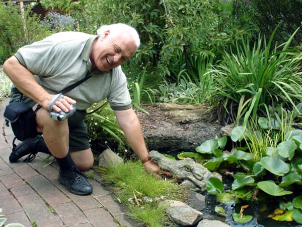 Lee Duquette  touching an alligatot