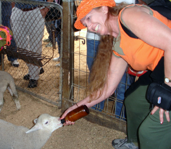 Karen Duquette feedin a sheep