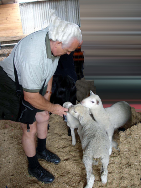 Lee Duquette feedin a sheep