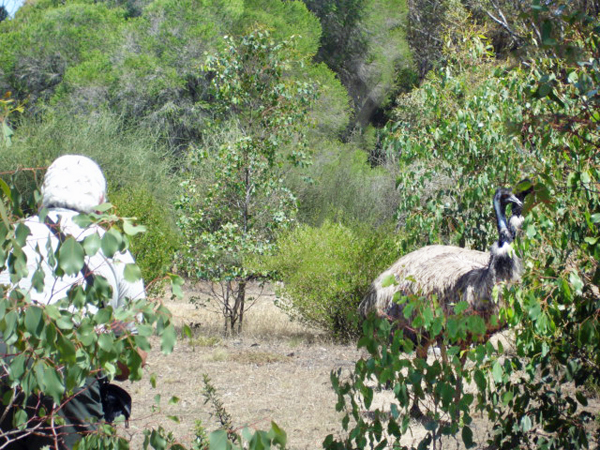 Lee Duquette and wildlife