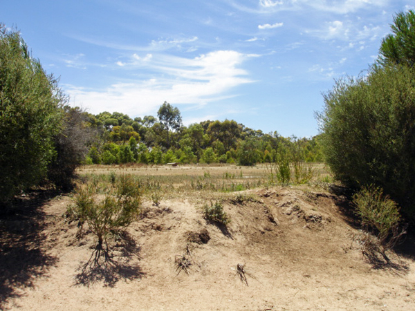 wild animal tour in Auistralia
