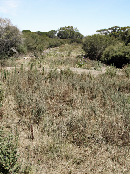 wild animal tour in Auistralia