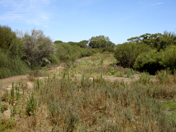 wild animal tour in Auistralia