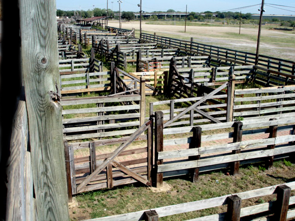 The Fort Worth Stockyards