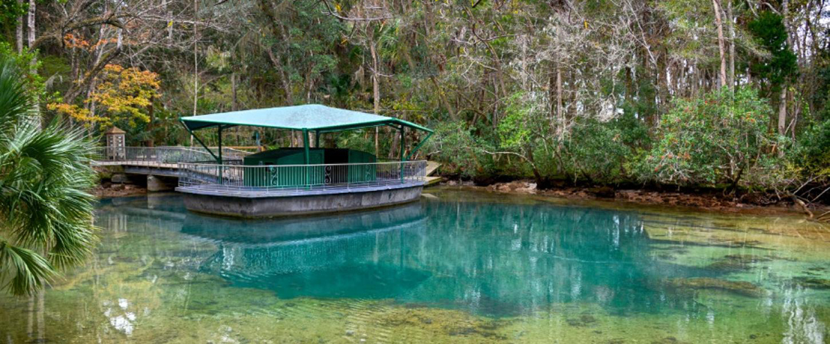 Homosassa Springs and manatees