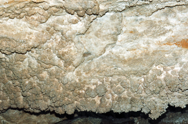 in Grand Canyon Caverns