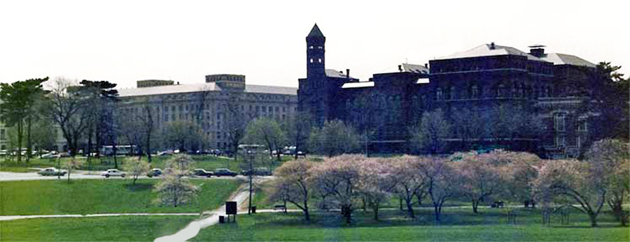 The Smithsonian Institute