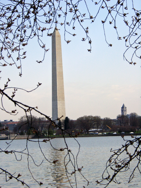 Washington Monument