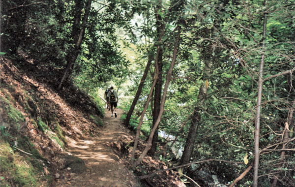 on the trail to Twin Falls 2007