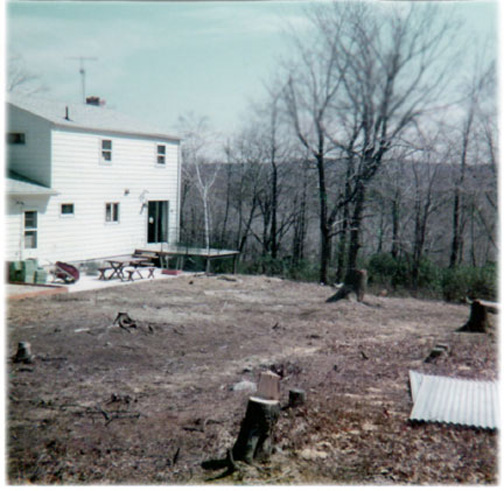 The back yard of the house