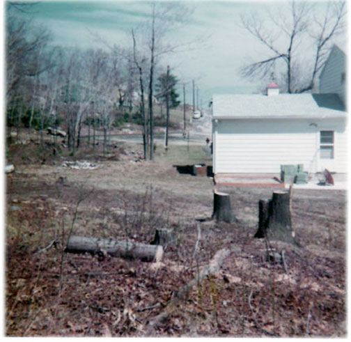 The back yard of the house