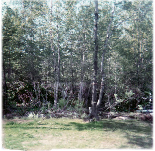 land in Terryville CT