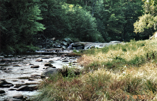 Brewster River